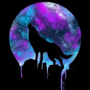 Meet your Posher, Alanna